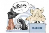 環保禁養后時代 誰來解決我們的吃肉問題?